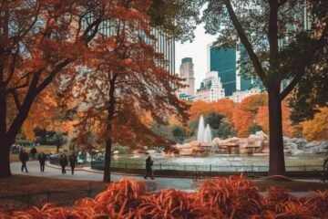 Découvrez Central Park, l’Oasis Vert Incontournable de Manhattan